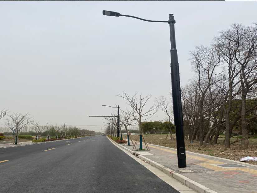 加查县上海综合杆 太阳能路灯工程