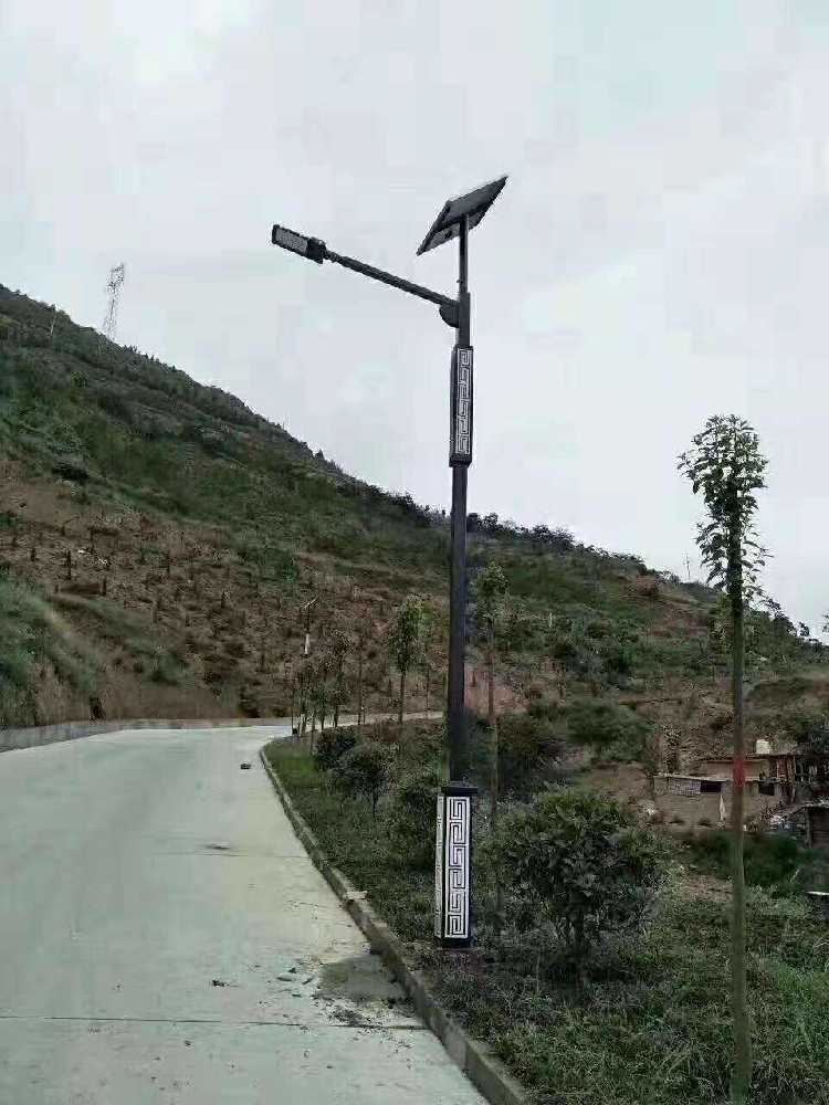 加查县仿古太阳能路灯